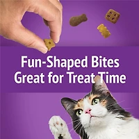 Friskies Party Mix Kahuna Crunch, Cat Treats 170g, 170 g