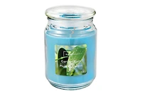 MAINSTAYS  PLUIE DU JARDIN  POT PARFUMÉ 538g