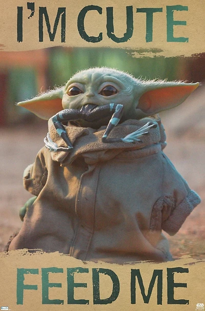 Star Wars : Le Mandalorien – Nourrissez-moi