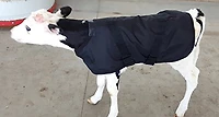 Manteau Thérapeutique Cool Runners