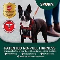 Harnais Pour Chien Sporn De Petite Taille Sans Traction, Harnais Pour Chien En Maille Rouge, Harnais Pour Chien Anti-traction En Nylon Durable, Harnais Pour Chien Respirant Et Facile À Utiliser 1 Petit Harnais