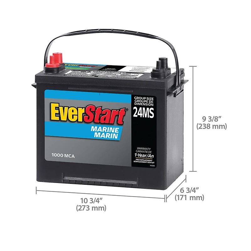 EverStart MARINE 24MS-1000N, 12 Volt, Marine Starting Battery, Group Size 24, 1000 MCA, EverStart, Marine Battery