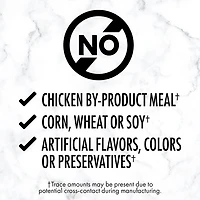Nutro Grain Free Tender Beef Paté Adult Wet Dog Food, 100g