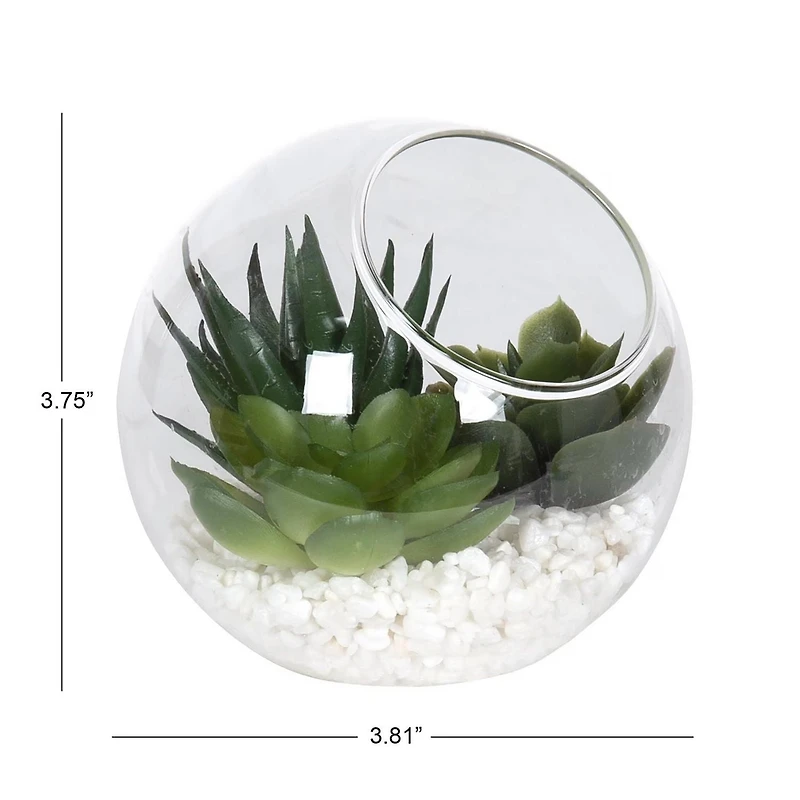 DesignOvation 3.75"H Angled Glass Globe Succulent Terrarium, 3.81in W x 3.75in H x 3.81 in D