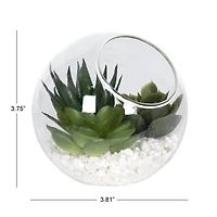 DesignOvation 3.75"H Angled Glass Globe Succulent Terrarium, 3.81in W x 3.75in H x 3.81 in D