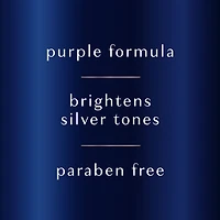 Shampooing violet argenté Hair Biology pour cheveux gris ou blonds colorés avec tons cuivrés, combat les tons cuivrés et ravive 380 ml