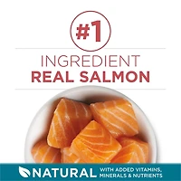 Purina ONE Salmon & Rice, Dry Cat Food, 1.59-7.2 kg