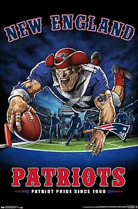 NFL New England Patriots - End Zone 17 Wall Poster, 22.375" x 34"