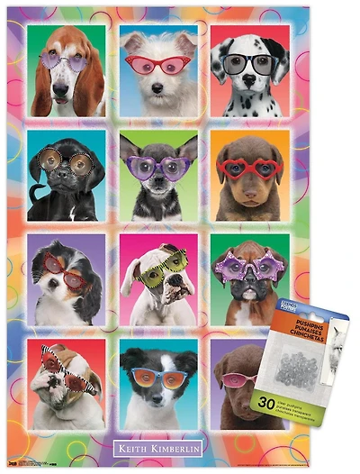 Keith Kimberlin - Puppies - Sunglasses Wall Poster, 22.375" x 34"