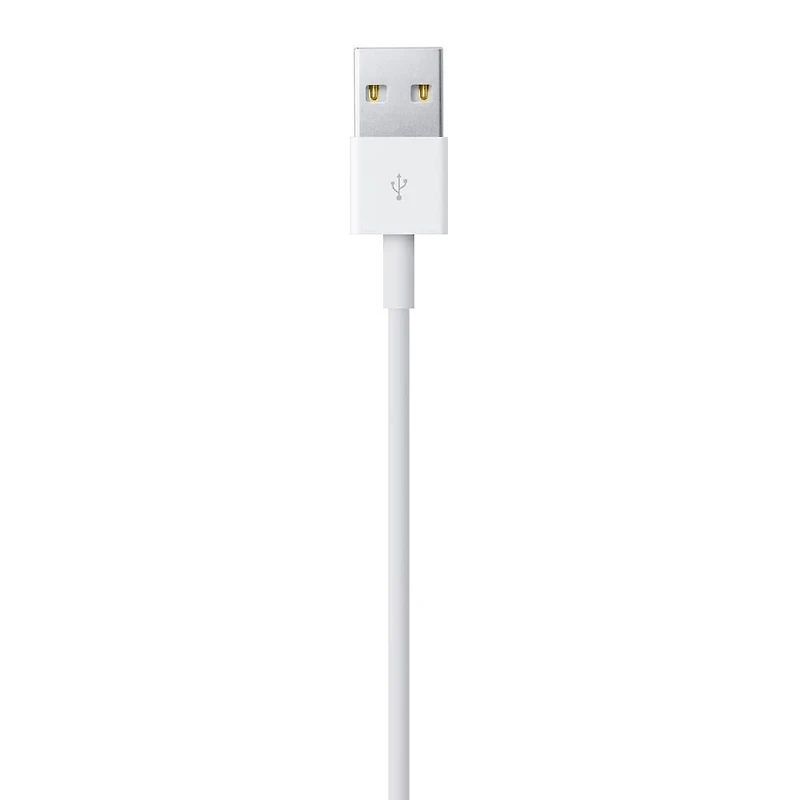 Apple Lightning to USB Cable (1 m)
