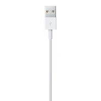Apple Lightning to USB Cable (1 m)