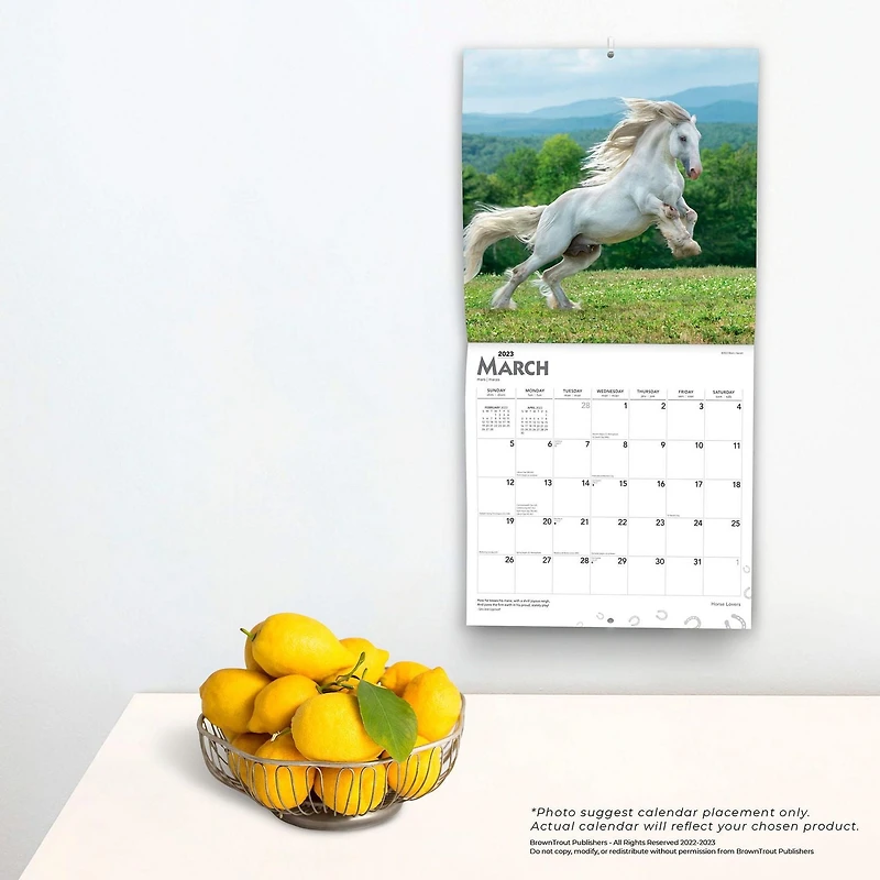 Horse Lovers | 2023 12x24 Inch Square Wall Calendar