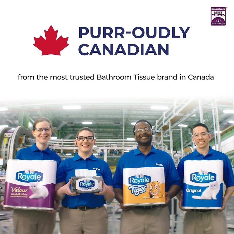 Royale Velour Facial Tissue, 1 Flat Boxes, 154 Tissues per box, 3-Ply, 154 Tissues