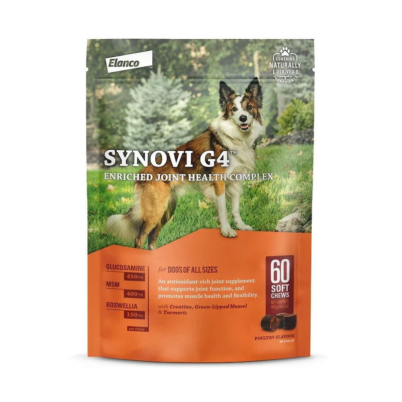 Synovi G4 Dog Joint Supplement Chews for Dogs of All Ages, Sizes and Breeds