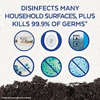 LYSOL® DISINFECTING WIPES Flat Pack, Spring Waterfall, 84 ct, 84 Count