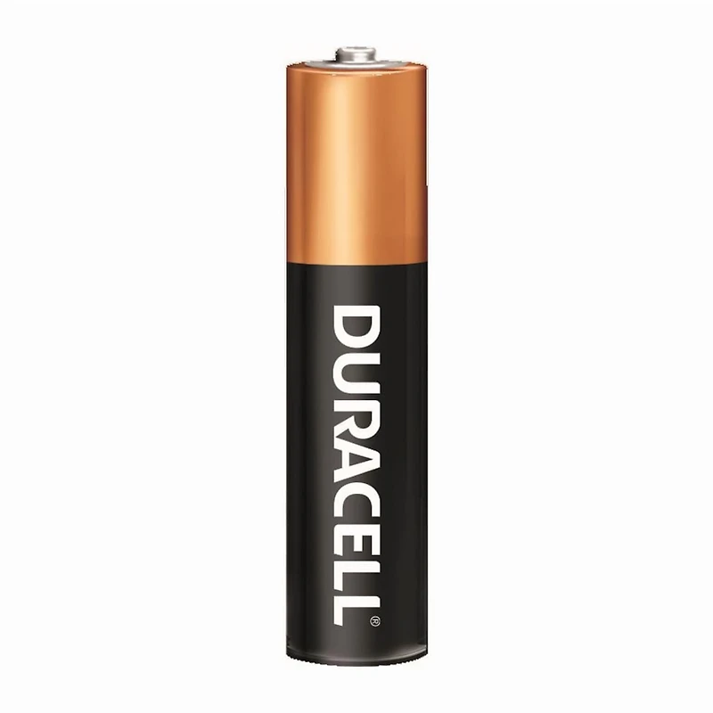 Duracell 1.5V Coppertop Alcalines, AAA <br>Piles, un Paquet de 12