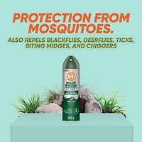 OFF! Deep Woods Insect and Mosquito Repellent, 230 g