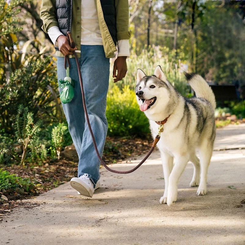 Sacs à crottes de chien antifuite Earth Rated non parfumés et distributeur de sacs à crottes, 900 sacs sur 60 rouleaux de recharge individuels