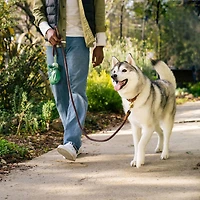 Sacs à crottes de chien antifuite Earth Rated non parfumés et distributeur de sacs à crottes, 900 sacs sur 60 rouleaux de recharge individuels