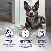 Scott Pet Guard Advanced Dog Pads - Dog Training Pee Pads for Puppies, Medium & Large Dogs - Up to 16 Hour Absorbency with odour Control - Softest Quilted Dog Pee Pads - XL - 30" x 36" - 40 Pack