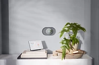Thermostat Google Nest Charbon