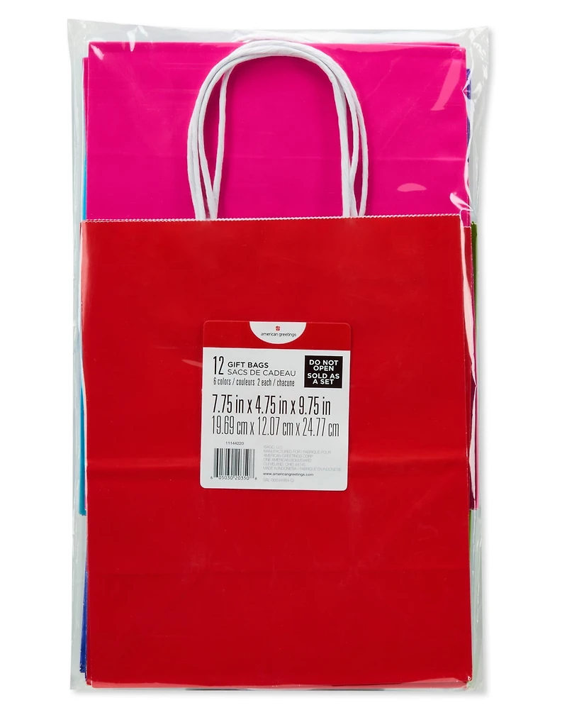 American Greetings - 10 sacs-cadeaux moyens de 10 po, unis arc-en-ciel (12 pièces)