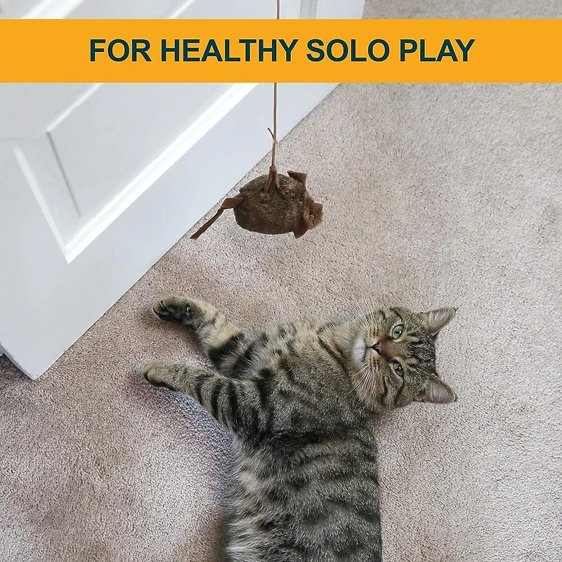 Pet Zone Play N Squeak Batting Practice Interactive Mouse Door Hanger Cat Toy