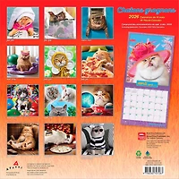 Avanti Chatons grognons 2026 Square FRENCH BTCA