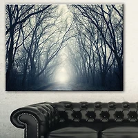 Tableau de photographie moderne imprimé sur toile Design Art foret d'automne