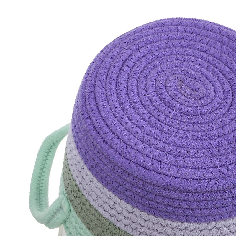 Way To Celebrate Rope Basket Blue