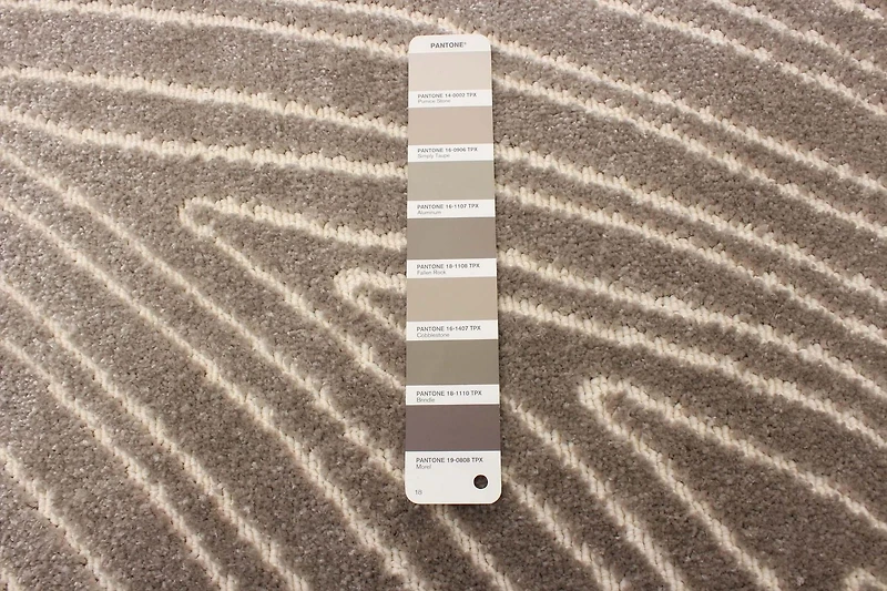 Tapis ECARPET Moderne pour Salle à Manger, Salon, Chambre Vector Beige