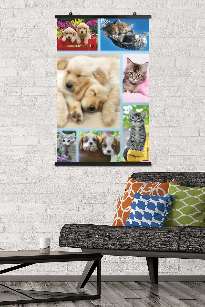 Keith Kimberlin - Collage de chiots et de chatons