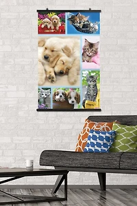 Keith Kimberlin - Collage de chiots et de chatons
