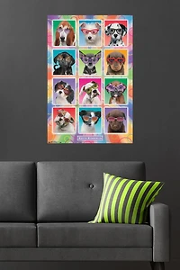 Keith Kimberlin - Puppies - Sunglasses Wall Poster, 22.375" x 34"