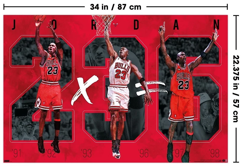Michael Jordan - Six Wall Poster, 22.375" x 34"