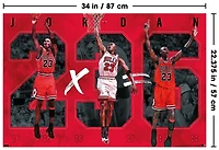 Michael Jordan - Six Wall Poster, 22.375" x 34"