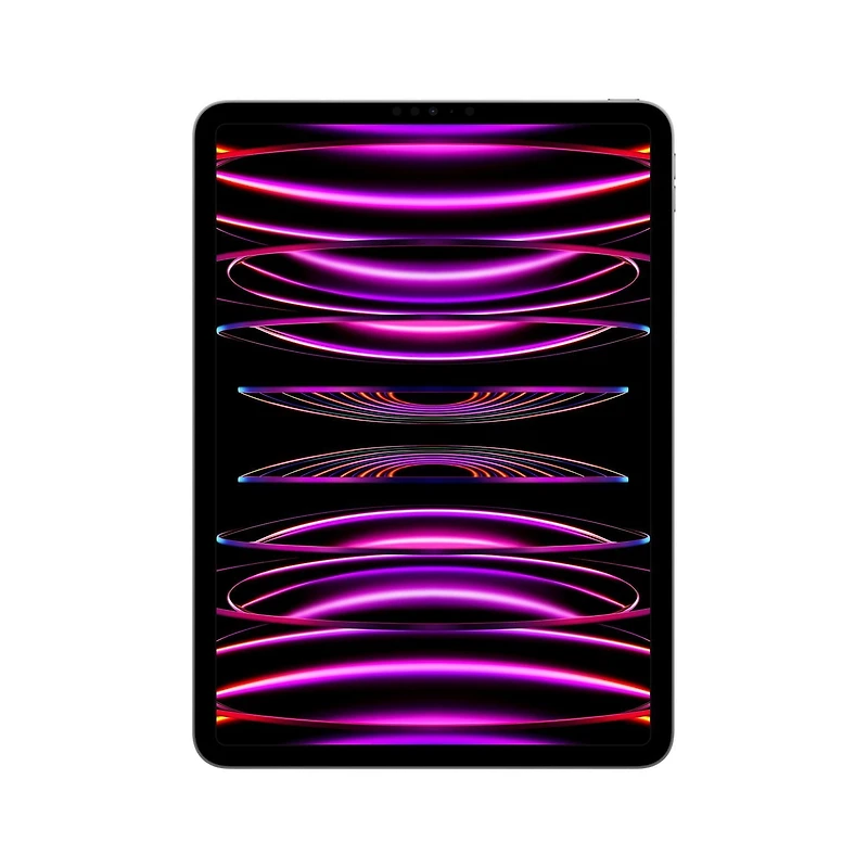 iPad Pro 11 pouces Wi-Fi 256 Go (4e génération)