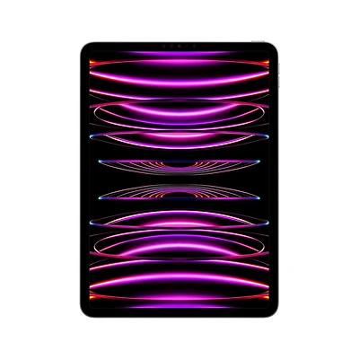 iPad Pro 11 pouces Wi-Fi 256 Go (4e génération)