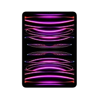 iPad Pro 11 pouces Wi-Fi 256 Go (4e génération)