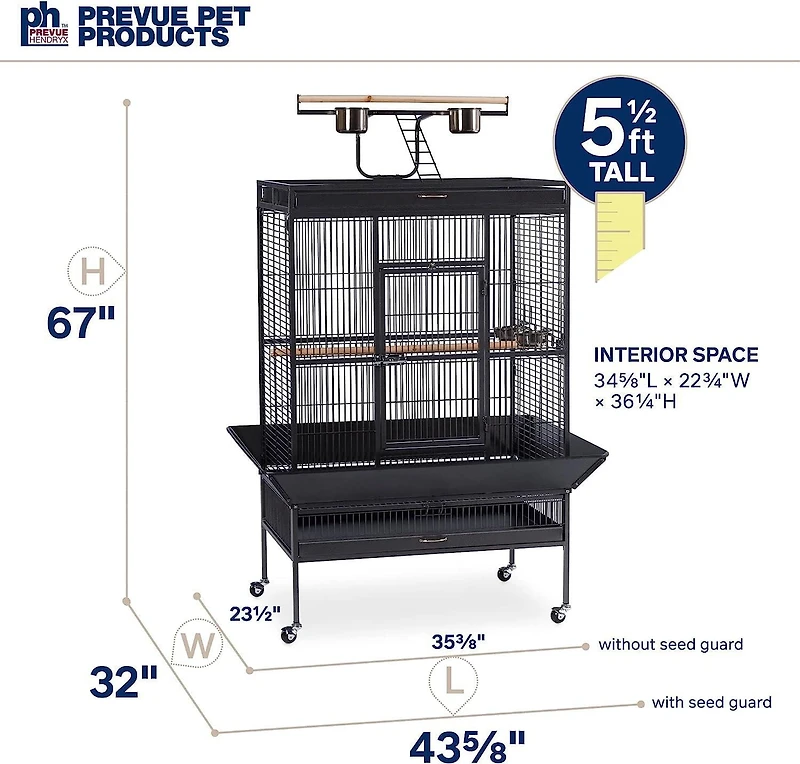 Prevue – Perroquet en fer forgé, noir