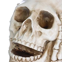 Halloween Sur Le Thème De La Résine Crâne Couverture OreilleS Table Pour Halloween Décorations d’intérieur