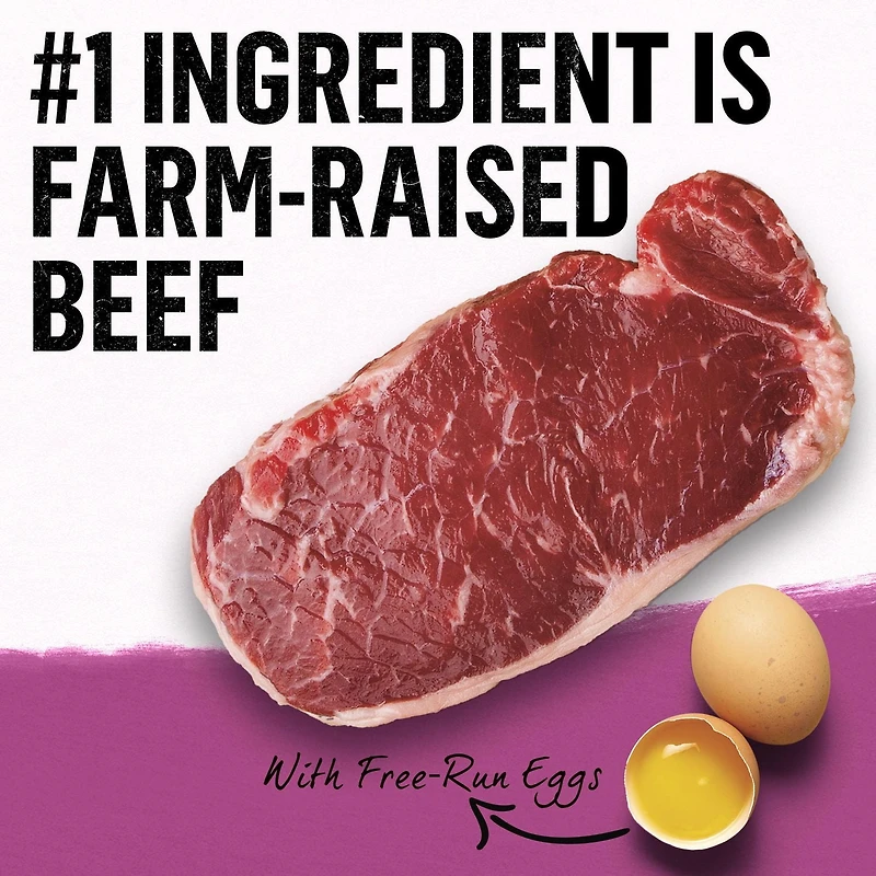 Beyond Simply Farm-Raised Beef, Barley & Free Run Egg Recipe, Dry Dog Food, 1.67-5 kg