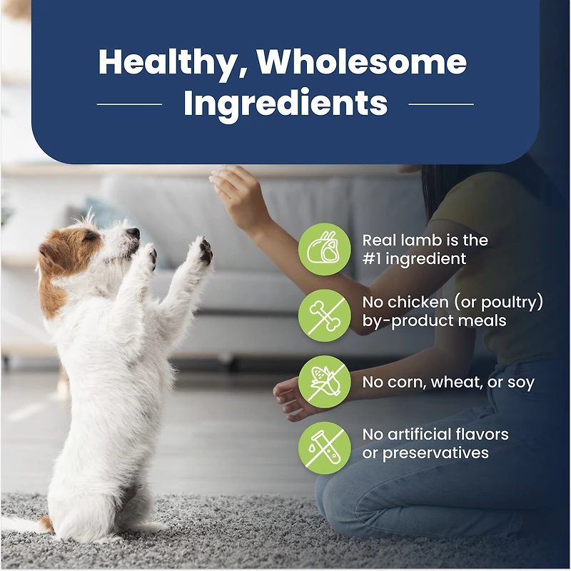 BLUE Life Protection Formula Small Breed Adult Lamb & Brown Rice Dry Dog Food 4.99kg