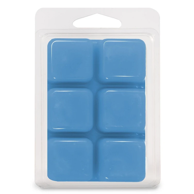 Cubes de cire parfumée ScentSationals - Faire une promenade 2,5 fois (70,9 g)