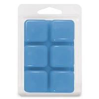 Cubes de cire parfumée ScentSationals - Faire une promenade 2,5 fois (70,9 g)