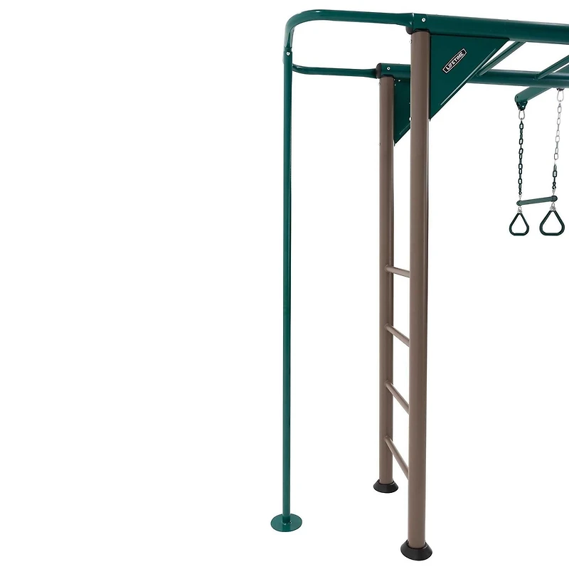 LIFETIME Outdoor Play Monkey Bar Adventure Swingset