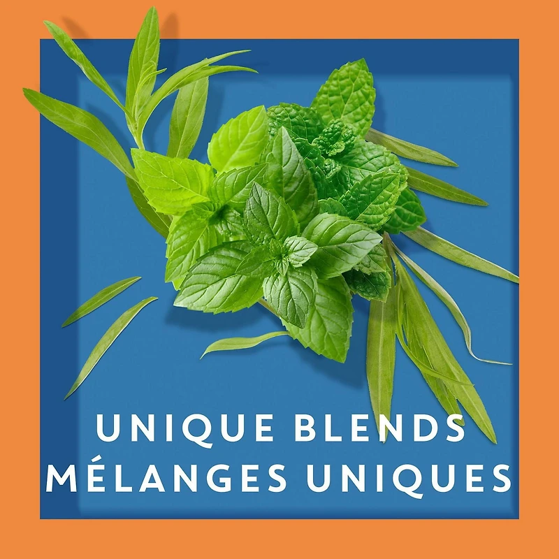 Tazo Refresh Mint Herbal Tea, Pack of 20