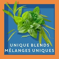 Tazo Refresh Mint Herbal Tea, Pack of 20