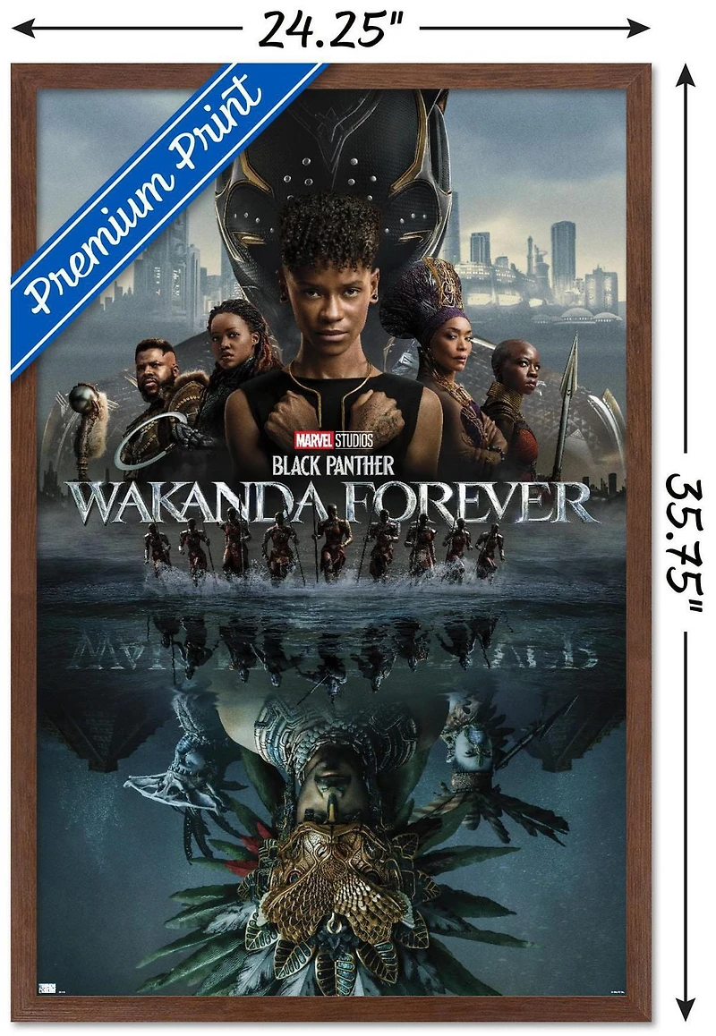 Marvel Black Panther: Wakanda Forever - One Sheet Wall Poster