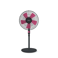 Sunbeam 16'' Stand Fan with Weighted Base